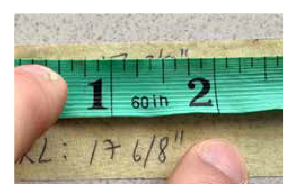 Recording horn length measurement on a steel tape