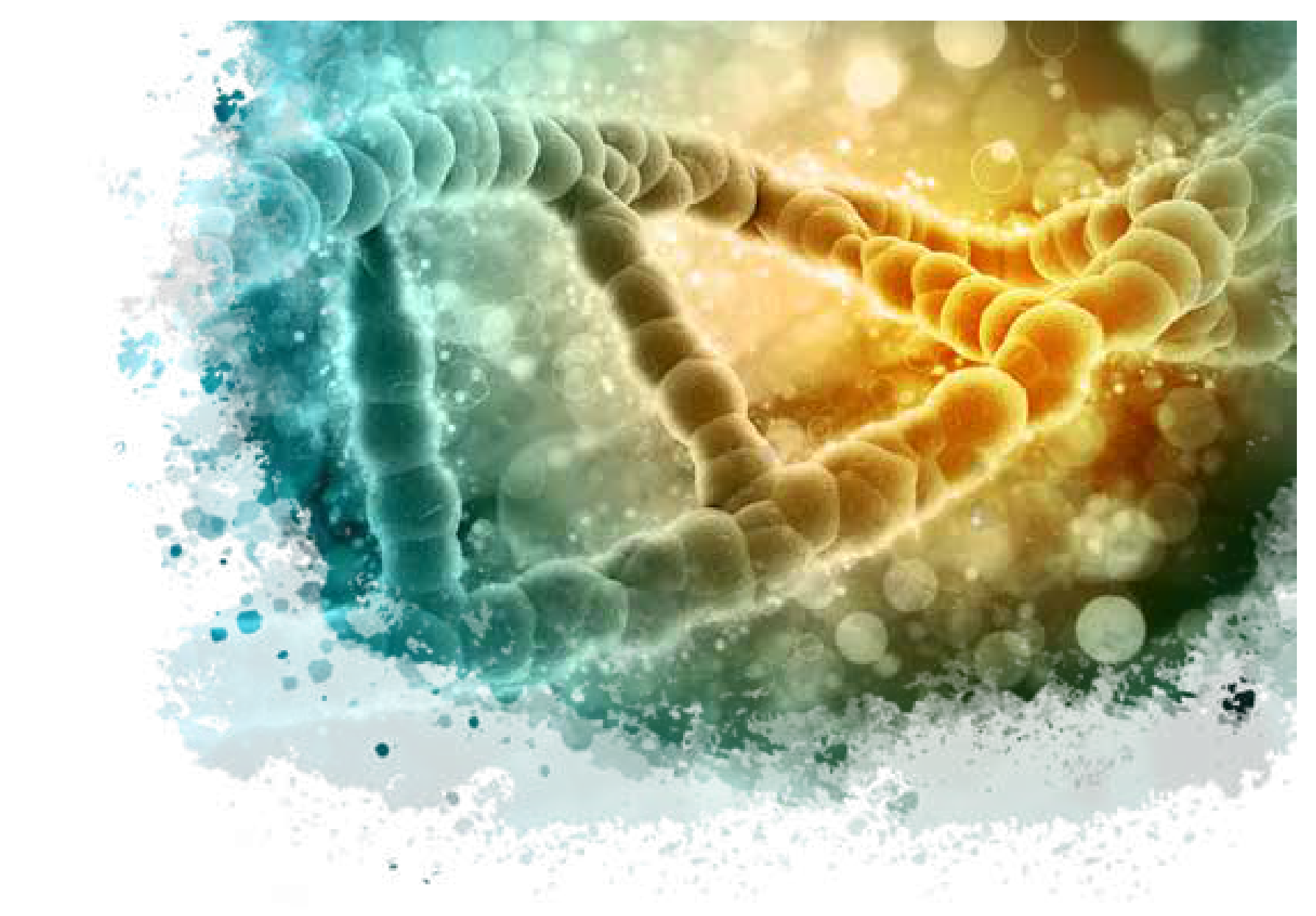 Illustration of a DNA double helix representing Ankole cattle genetics